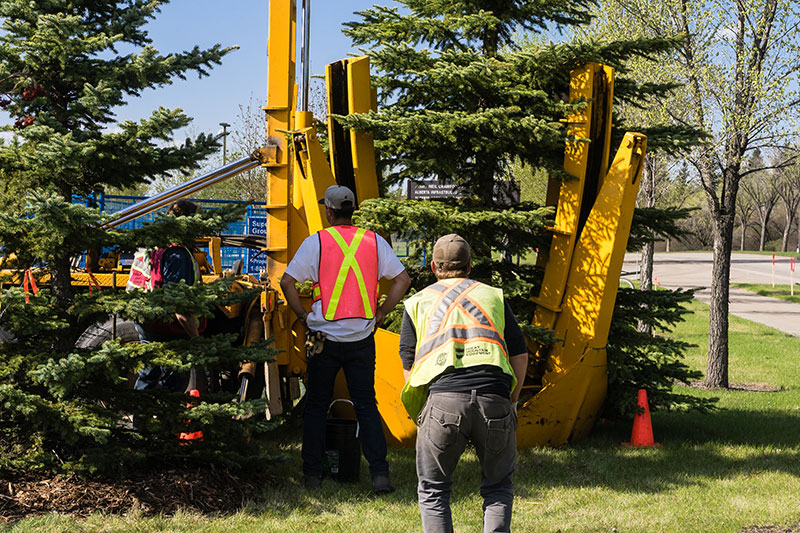Contractor's Equipment