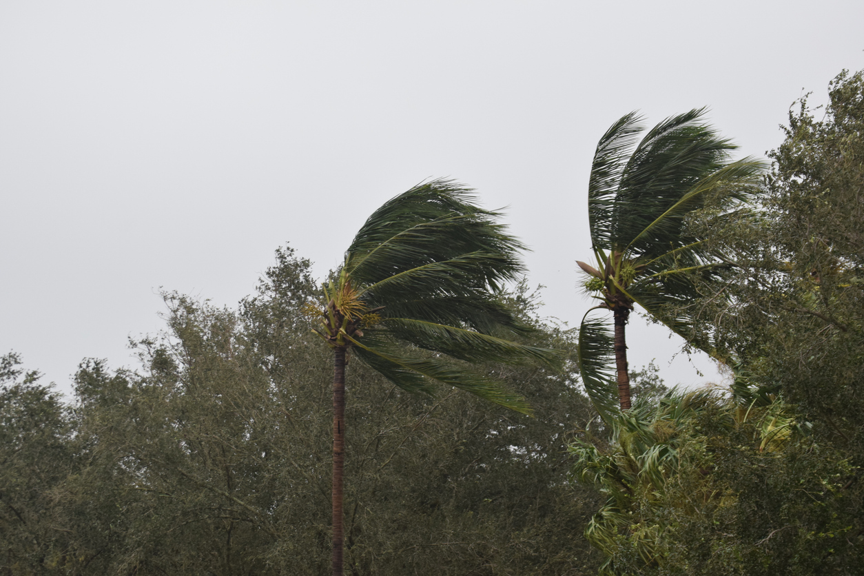 reinsurance