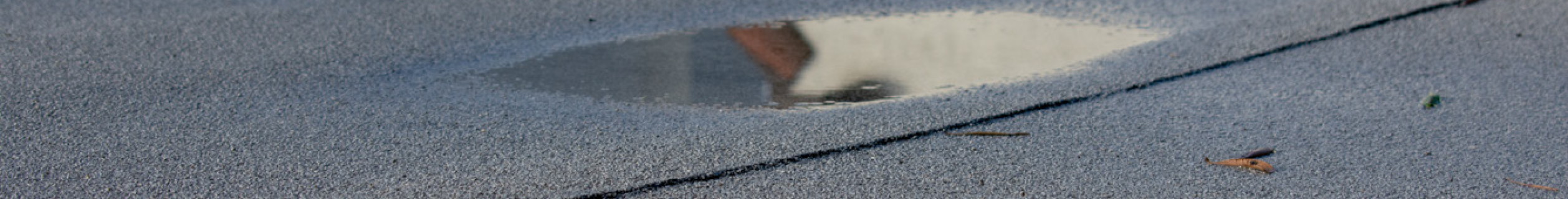 Loss Prevention - Water Backup